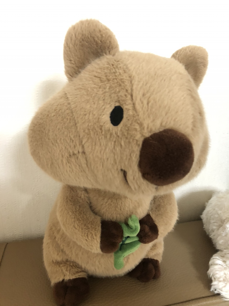 [잡담] ㅋㅋㅋㅋㅋㅋㅋㅋㅋㅋㅋㅋㅋㅋㅋㅋㅋㅋㅋㅋ아 당근에 만원주고 뽑은 인형 삼천원에 올렸는대 | 인스티즈