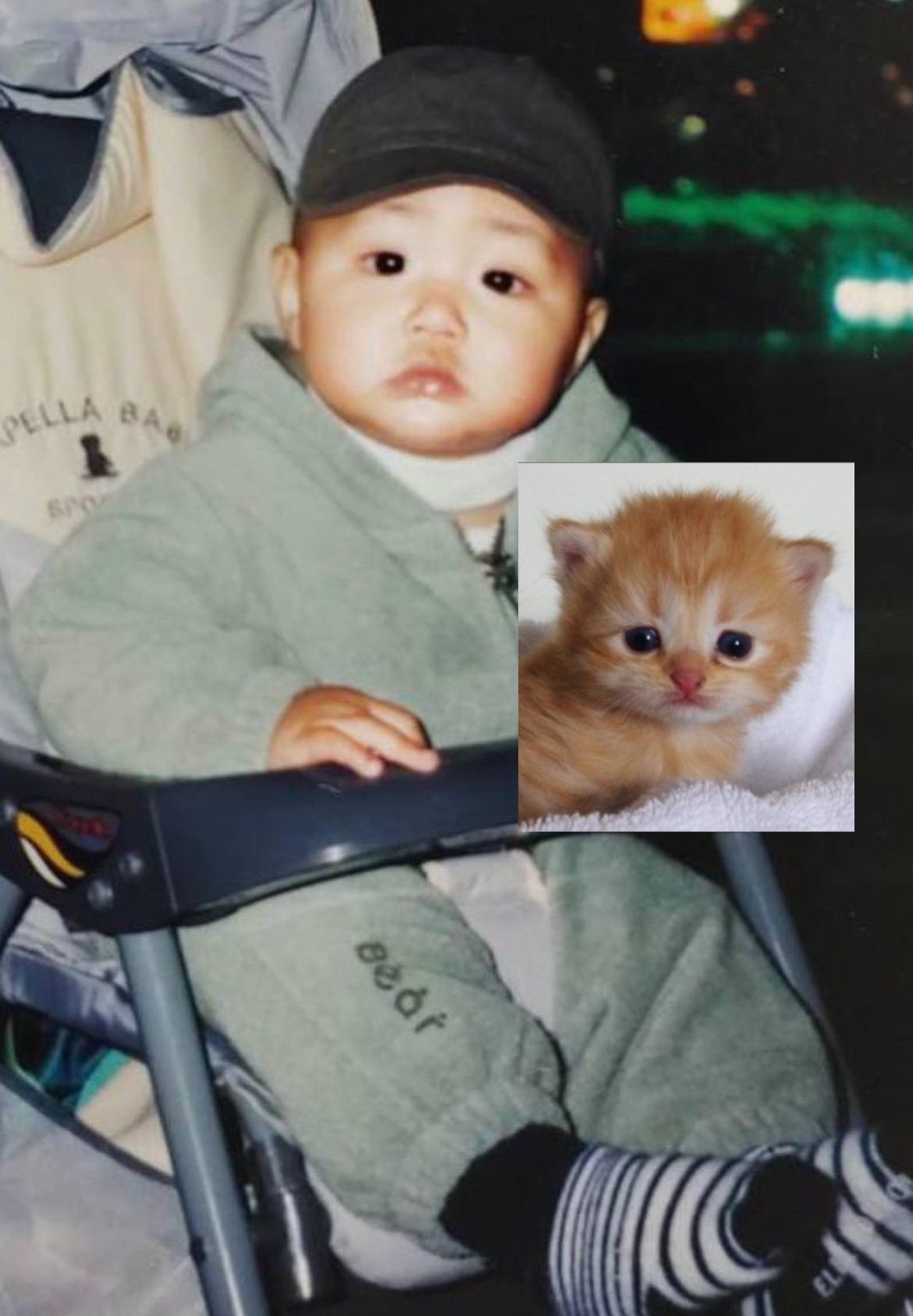 [잡담] 근데 원빈이같은 고양이상 처음봄 | 인스티즈