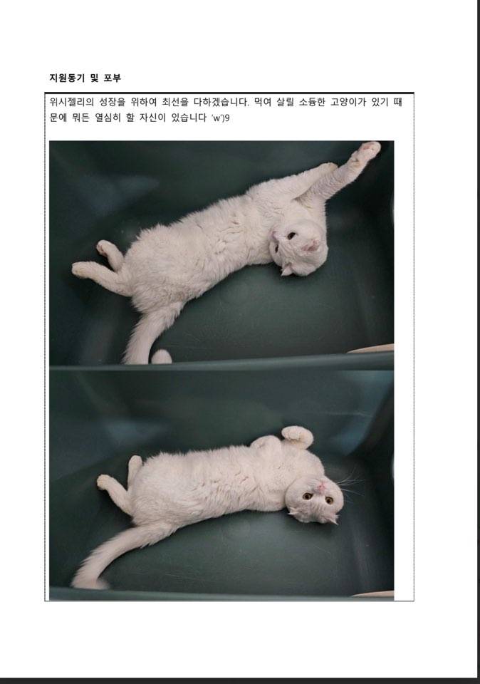 채용비리가 심히 의심 가는 어떤 회사의 신입 사원 뽑는 과정 | 인스티즈