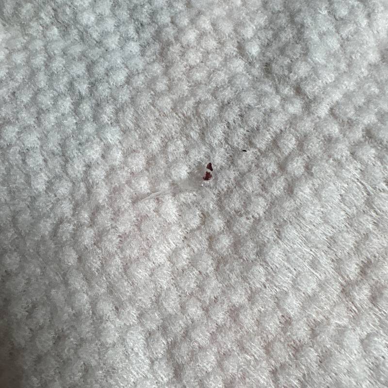 [잡담] 이거 비닐 맞는 거 같지? | 인스티즈