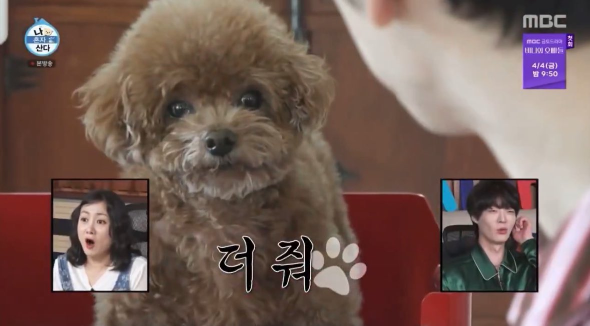 [잡담] 스톤뮤직에서 말아주는 재일사비 좀 봐봐ㅠㅠㅠ | 인스티즈
