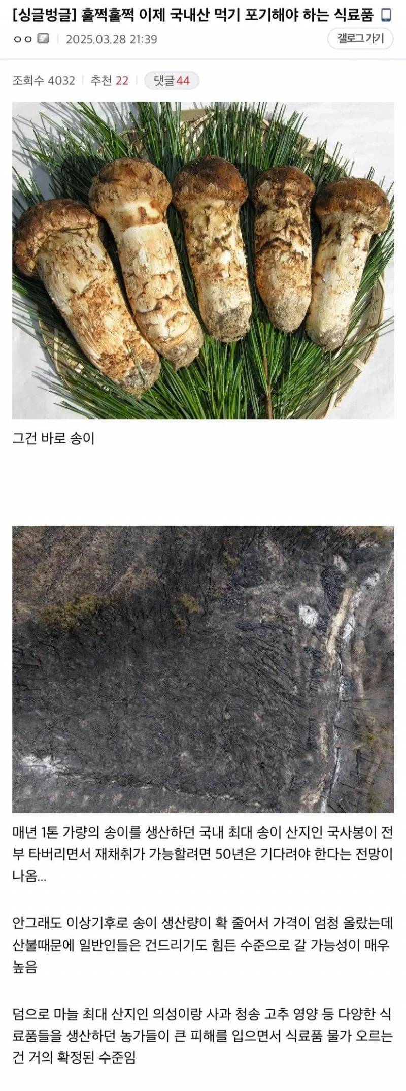 [잡담] 이제 국내산 먹기 포기해야 하는 식료품 | 인스티즈