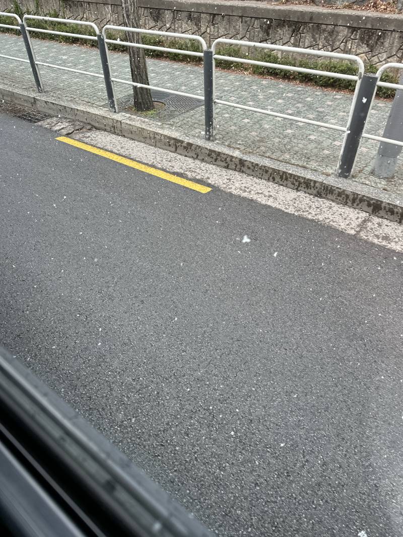 [잡담] 아니 눈이 왜 와요????? | 인스티즈