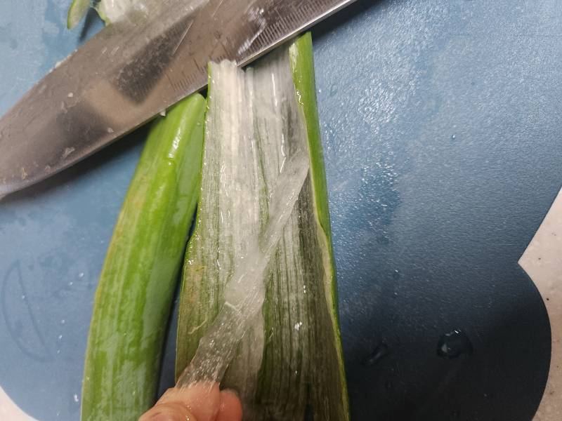 [잡담] 난 내가 대파를 산줄 알았는데 뭔 알로에가 왔나 싶을정도로 진액이너무 많았다 | 인스티즈