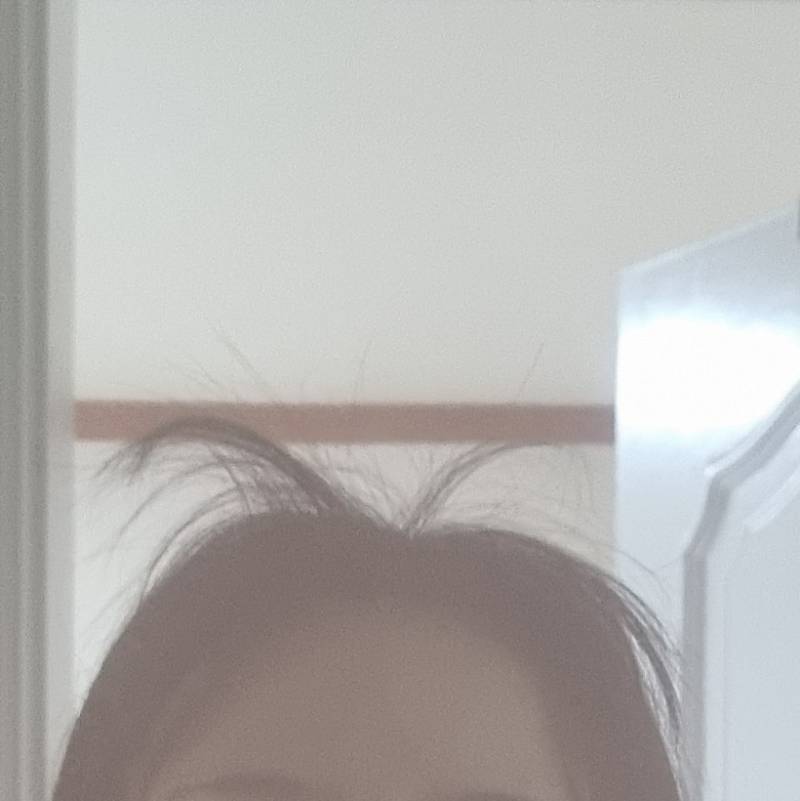[잡담] 아침에 머리 안 감으면 외출 못하는 이유 | 인스티즈