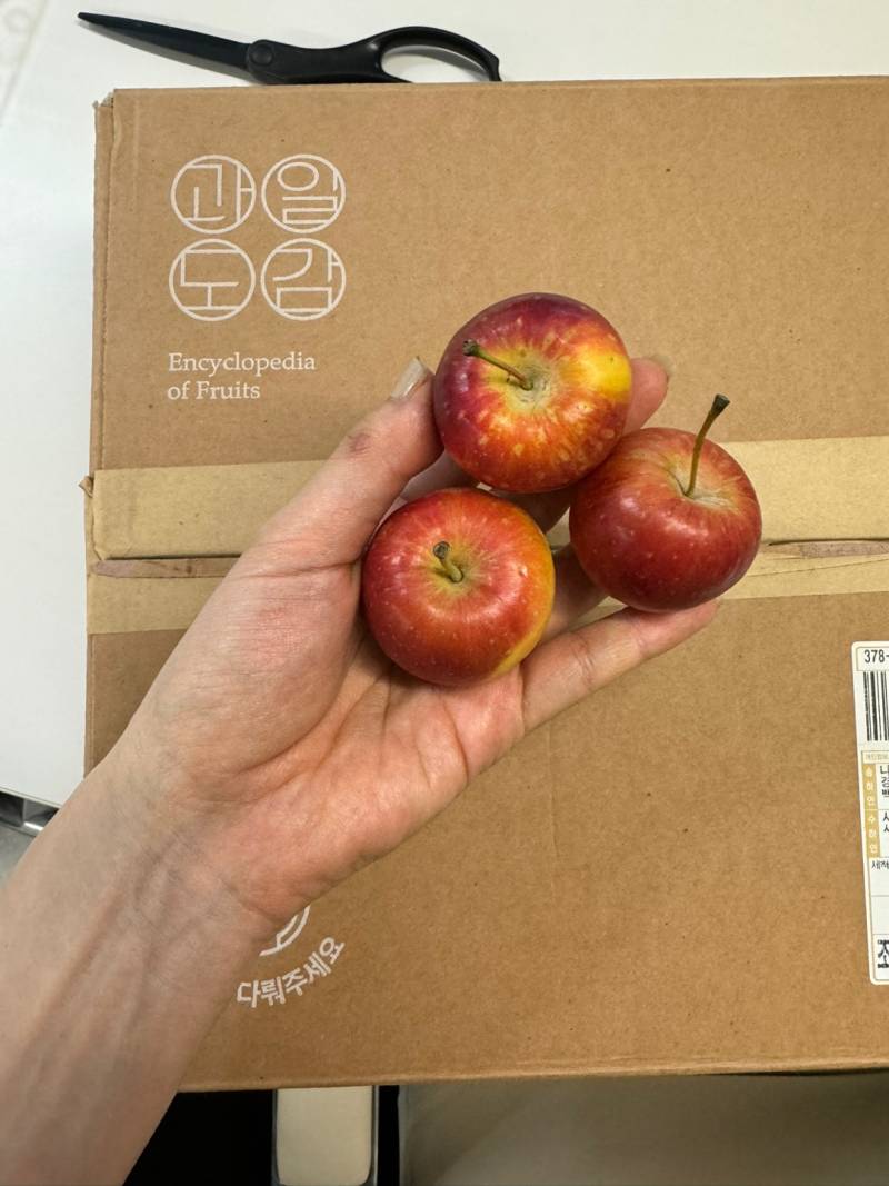 [잡담] 양조절 어려운 다이어터 추쳔템 | 인스티즈