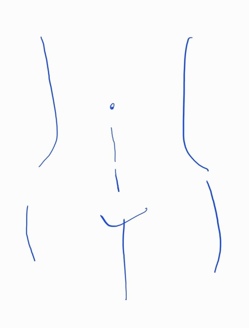 [잡담] (똥손그림있음) 혹시 여자 배꼽 아래로 가느다란 선? 줄이 있는건 뭐야? | 인스티즈