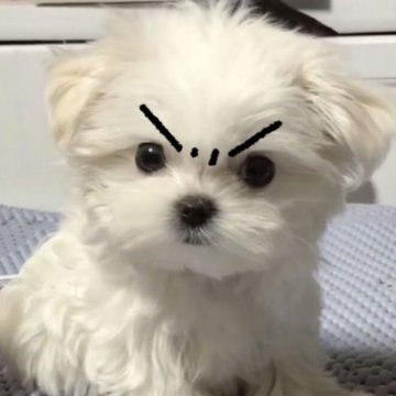 [잡담] 누가 우리 성찬이 화나게 했어 | 인스티즈
