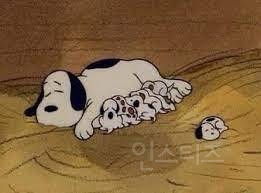 사람들이 잘 모르는 스누피 아기시절.jpg | 인스티즈
