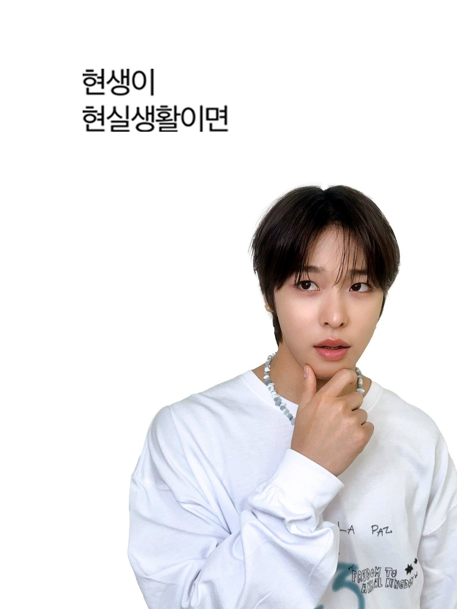 [잡담] 위시 만우절 짤 모음 | 인스티즈