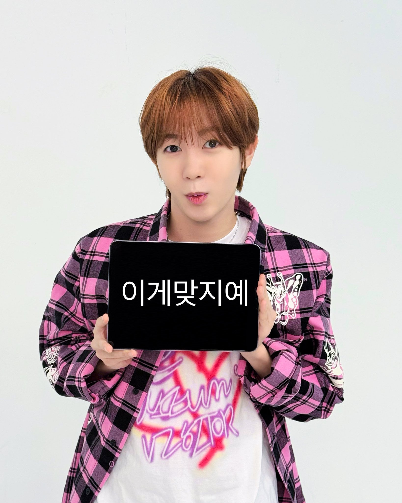 [잡담] 위시 만우절 짤 모음 | 인스티즈