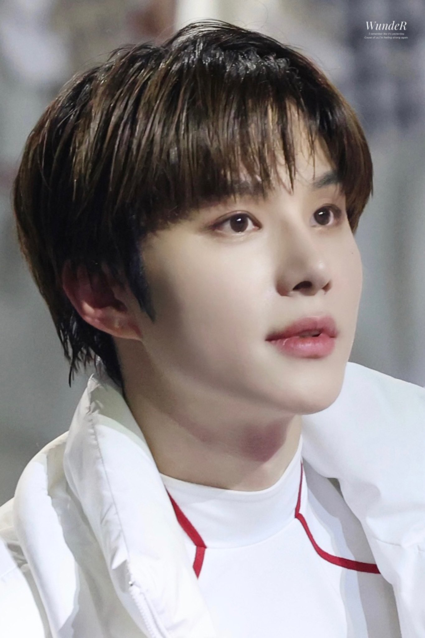 [잡담] 가요대전 정우 new 사진 완전 아기 뱁새 ㅠ | 인스티즈