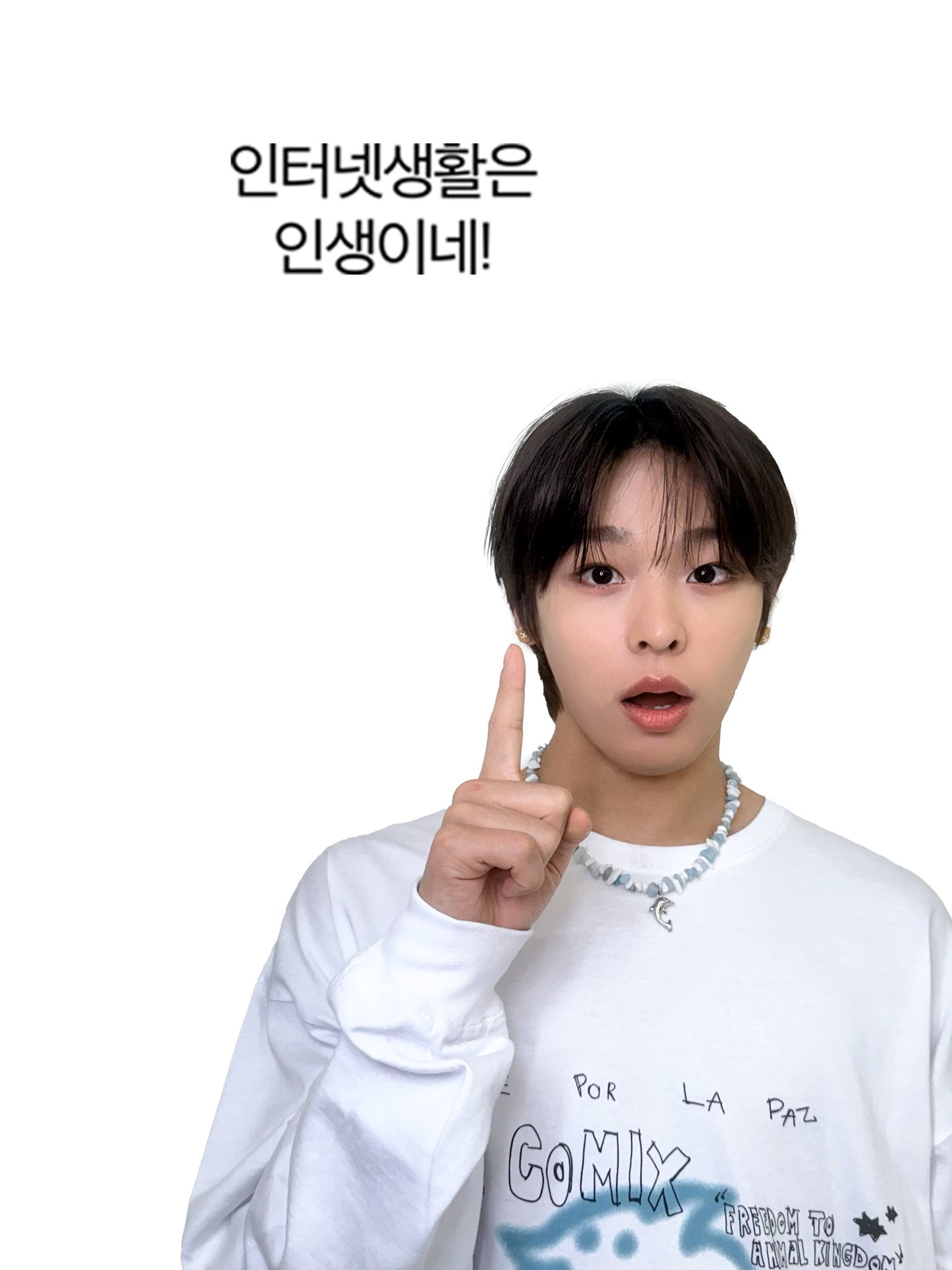 [잡담] 위시 만우절 짤 모음 | 인스티즈