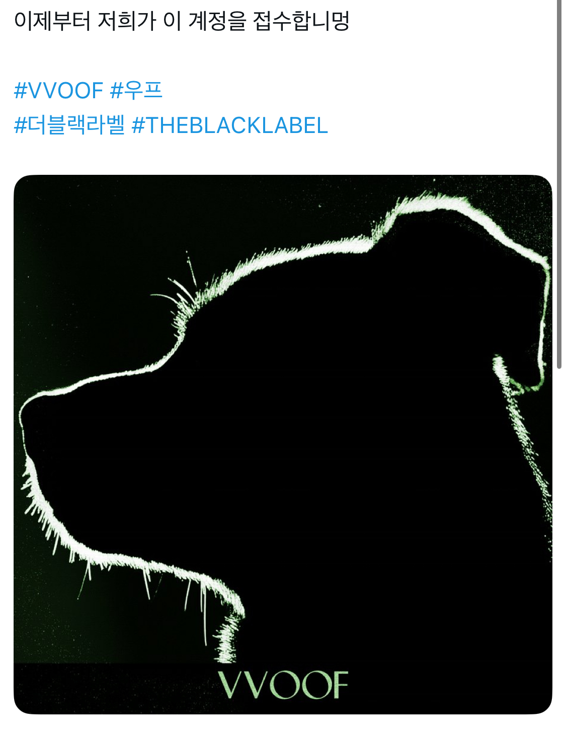 [잡담] 미야오 근황 | 인스티즈