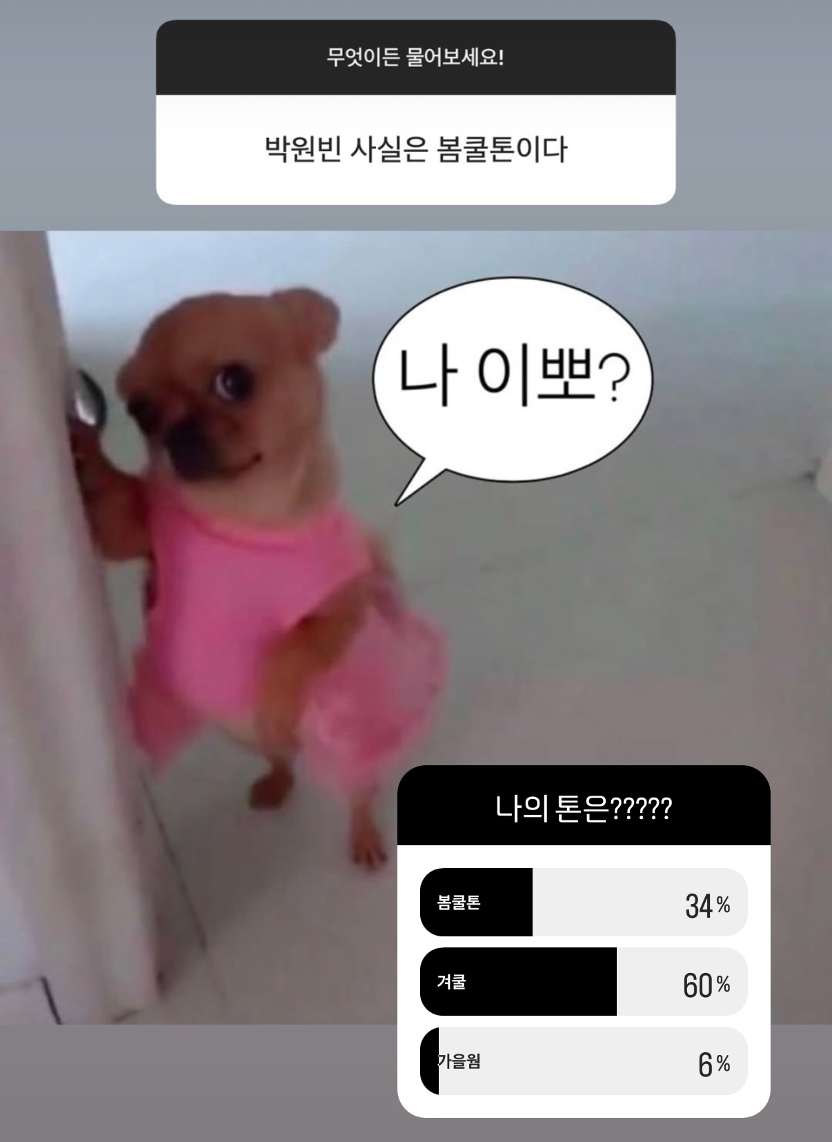 [잡담] 라이즈 왤케 MZ함 | 인스티즈