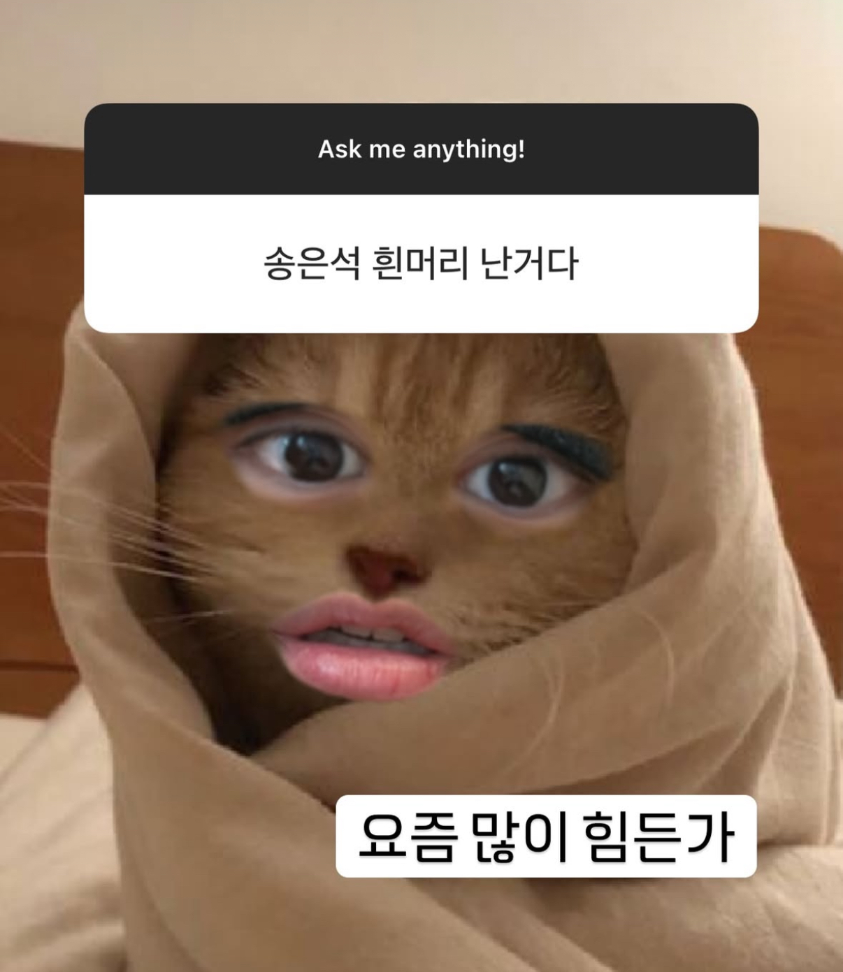 [잡담] 라이즈 왤케 MZ함 | 인스티즈