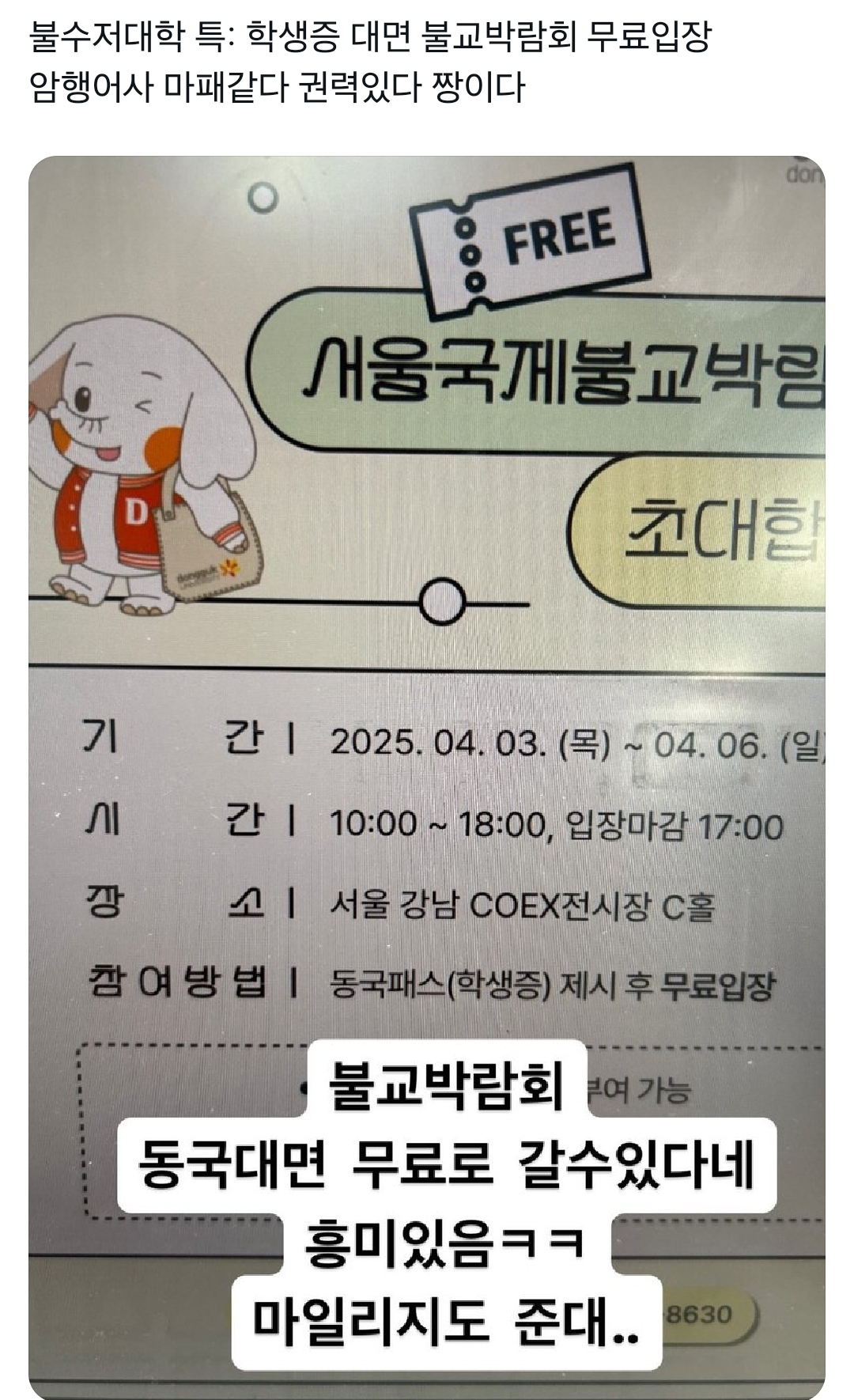 [잡담] 동국대재학생 개부러운 점...... | 인스티즈