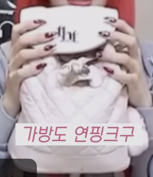[잡담] 이거 어디가방이야? ㅠㅠㅠ 궁금해 | 인스티즈