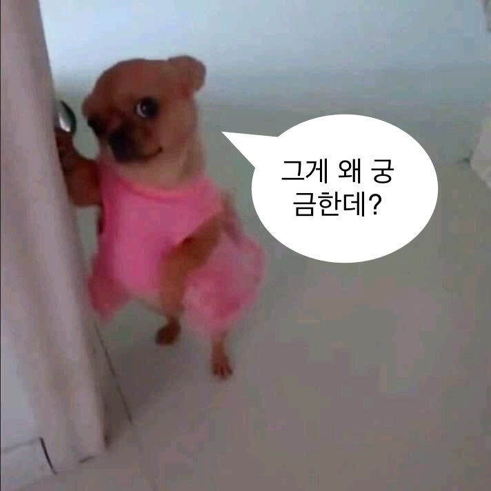 [잡담] 원빈이랑 공통점 찾음 | 인스티즈