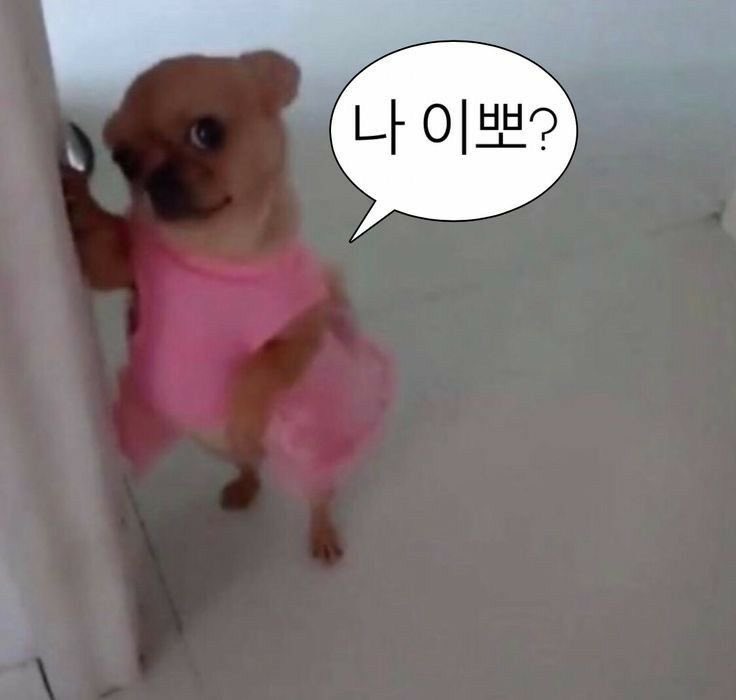 [잡담] 원빈이랑 공통점 찾음 | 인스티즈