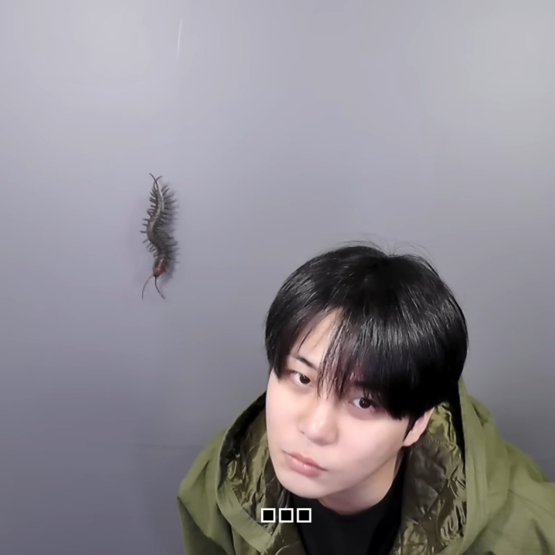 [잡담] 만우절 깜짝카메라 반응 다 다른 거 개웃기네ㅋㅋㅋㅋㅋ | 인스티즈