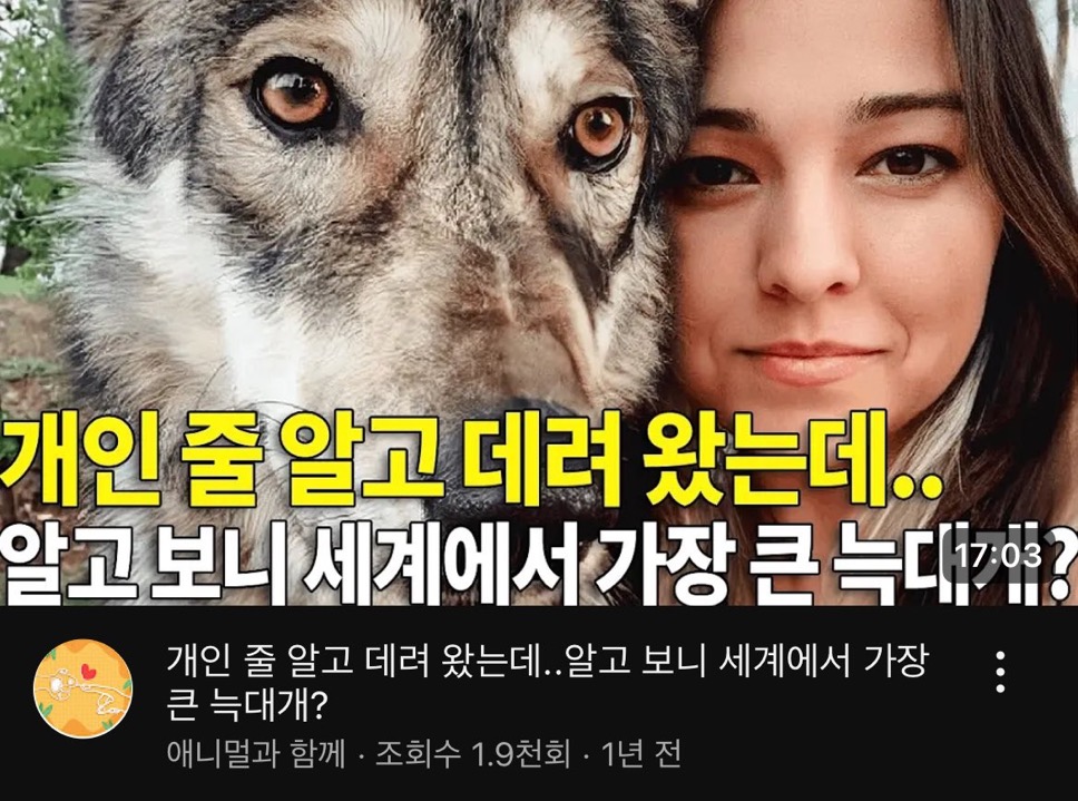 [잡담] MBCkpop 앤톤 진짜 다른 사람같다ㅋㅋㅋㅋ | 인스티즈