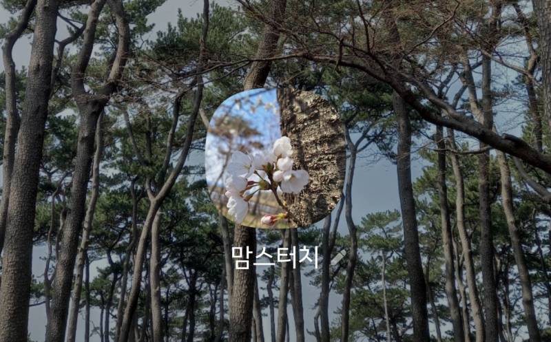 [잡담] 우리 엄마 카톡 프사ㅋㅋㅋㅋ | 인스티즈