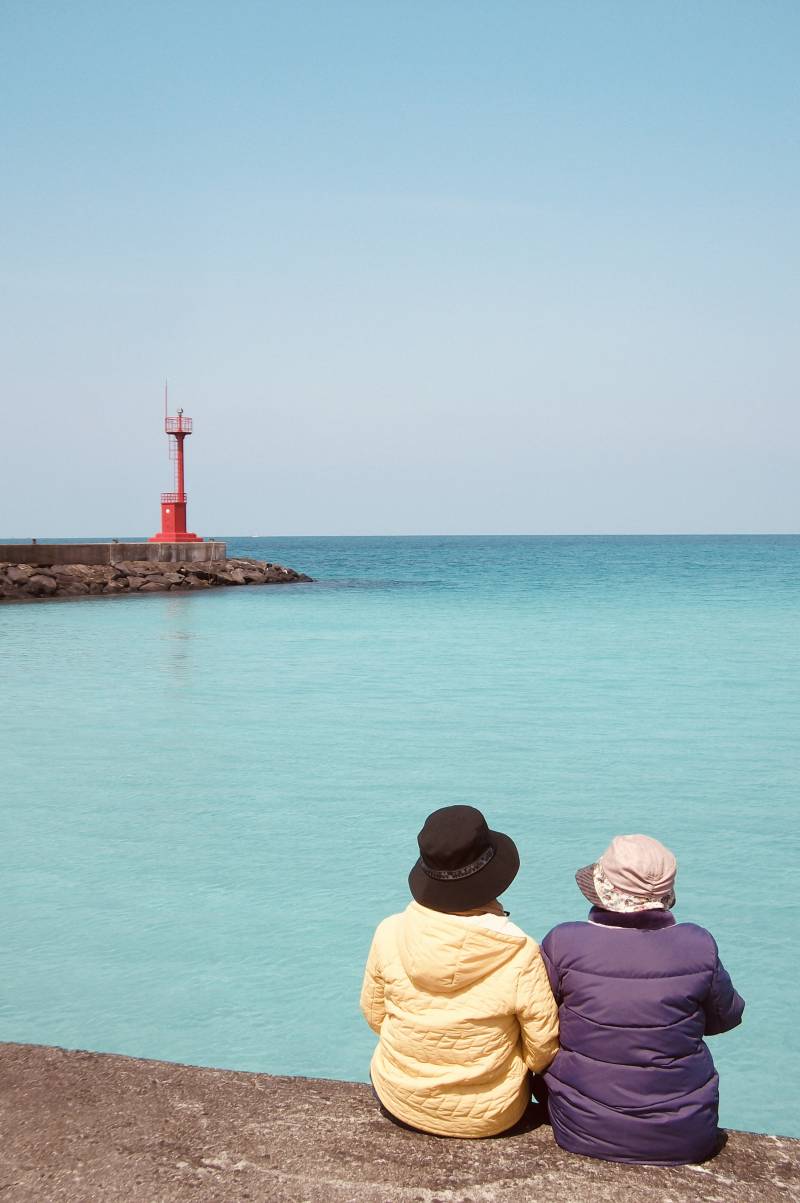 [잡담] 우리 증조할머니 제주도 한달살기 가셨다 | 인스티즈