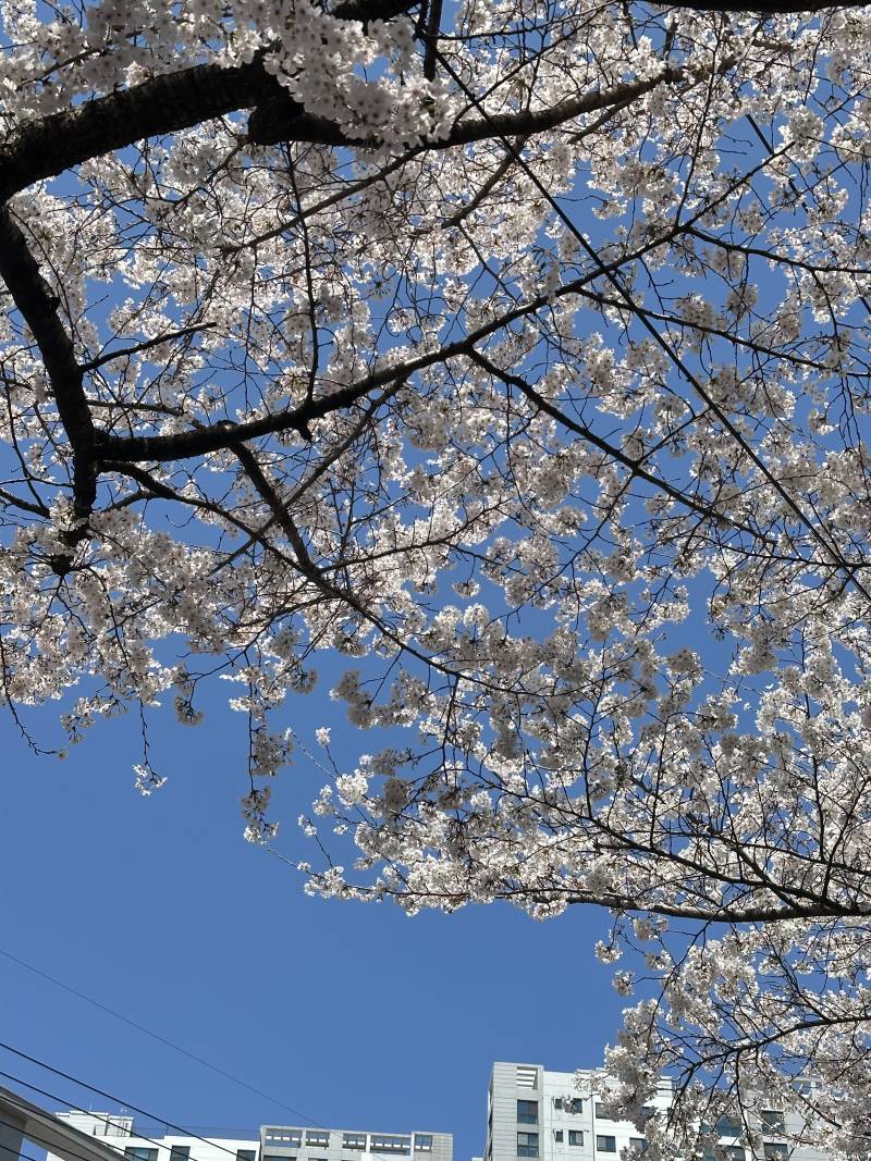 [잡담] 실시간 부산(시민공원쪽) | 인스티즈
