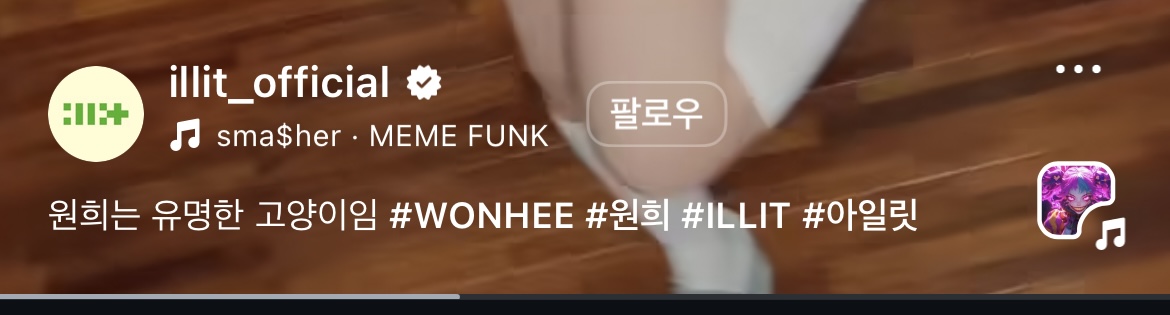 [마플] ㄴㅈㅅ팬들 ㅇㅇㄹ 공계에 악플 남긴거 아직 그대로 있음 | 인스티즈