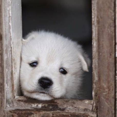[잡담] 짝남이 나보고 이거 닮았다는데 | 인스티즈
