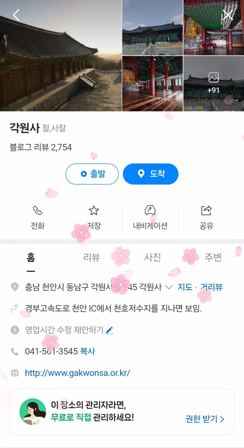 [잡담] 어머 네이버지도 벚꽃명소 들어가니까 벚꽃 날려 | 인스티즈