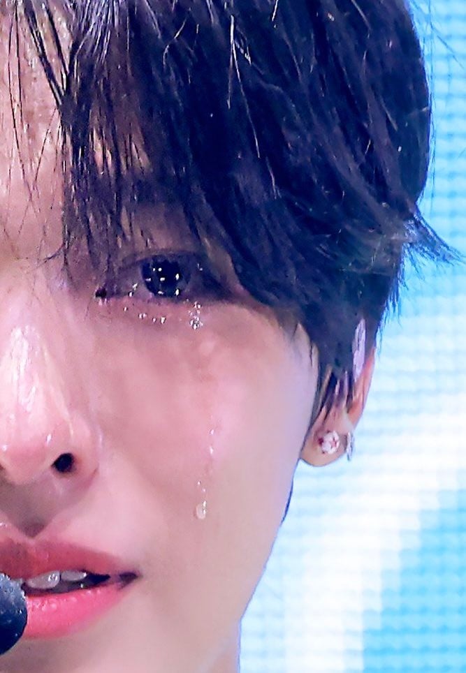 [잡담] 잘우는 돌들이 조아... | 인스티즈