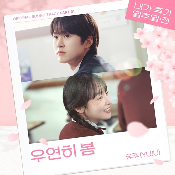 [정보/소식] 유주, '내가 죽기 일주일 전' OST 첫 주자...'우연히 봄' 밴드 사운드 재해석 | 인스티즈