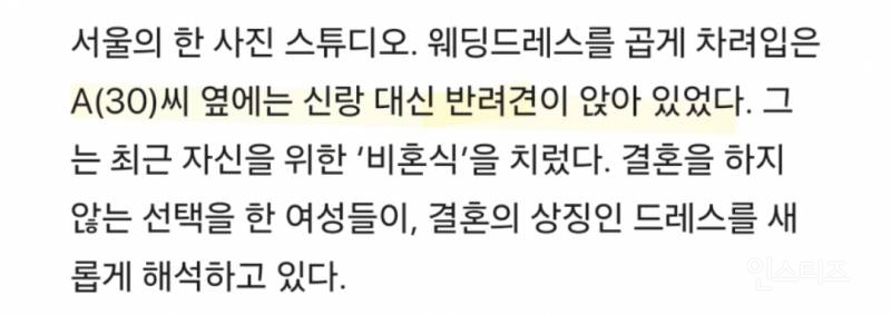 비혼식 여는 한국 여성들 | 인스티즈