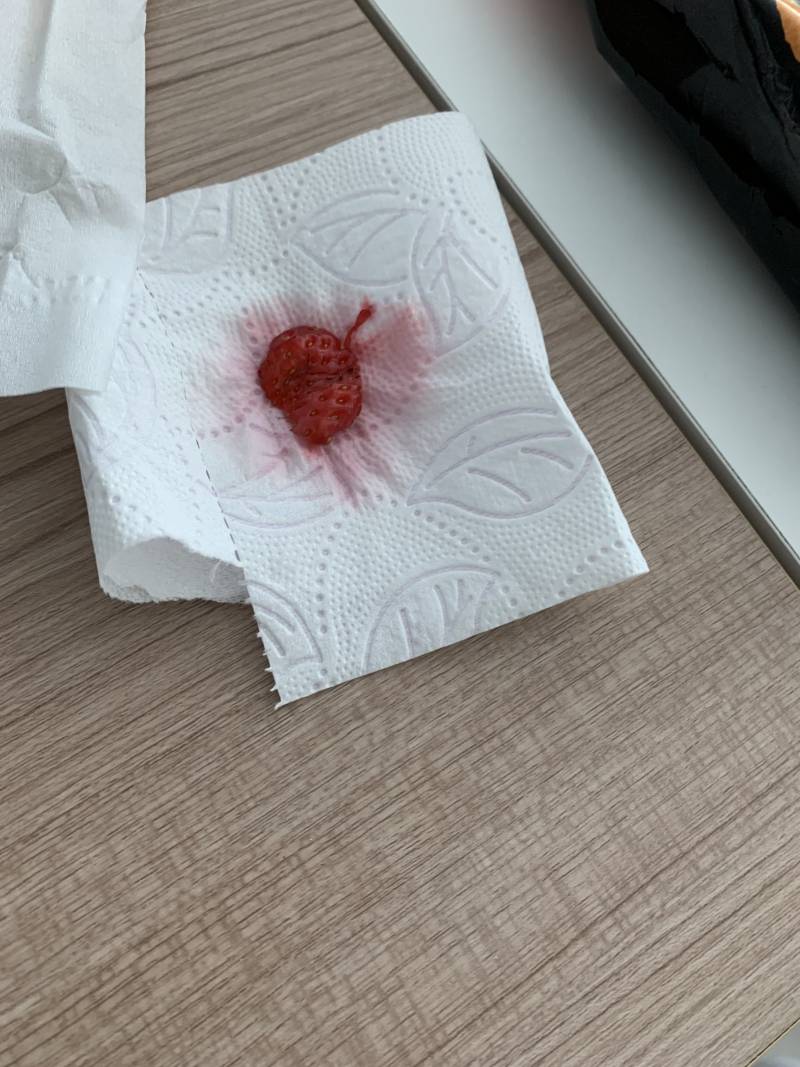 [잡담] 딸기 이거 일반쓰레기에 버리면돼? | 인스티즈