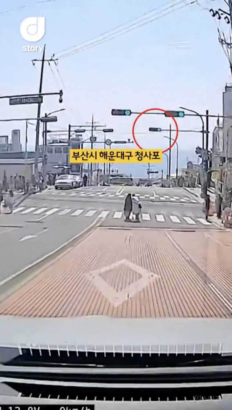 현재 논란중인 차량신호 무시하고 사진찍는 커플 ㄷㄷㄷㄷ | 인스티즈