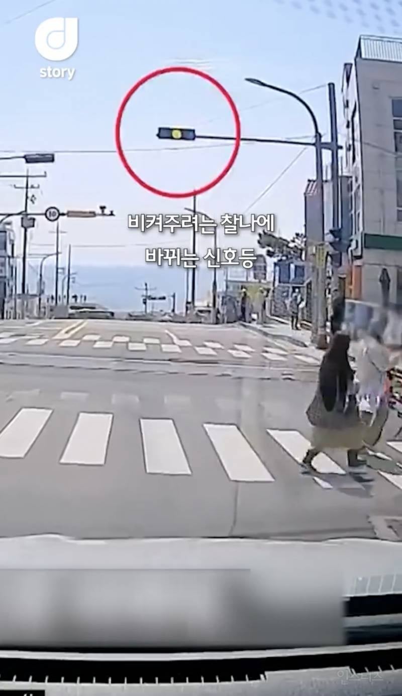 현재 논란중인 차량신호 무시하고 사진찍는 커플 ㄷㄷㄷㄷ | 인스티즈