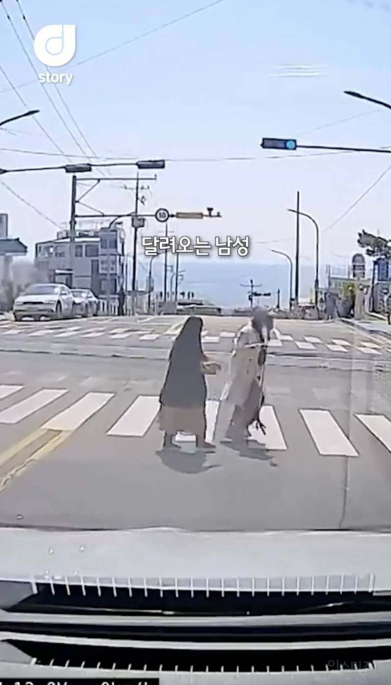 현재 논란중인 차량신호 무시하고 사진찍는 커플 ㄷㄷㄷㄷ | 인스티즈