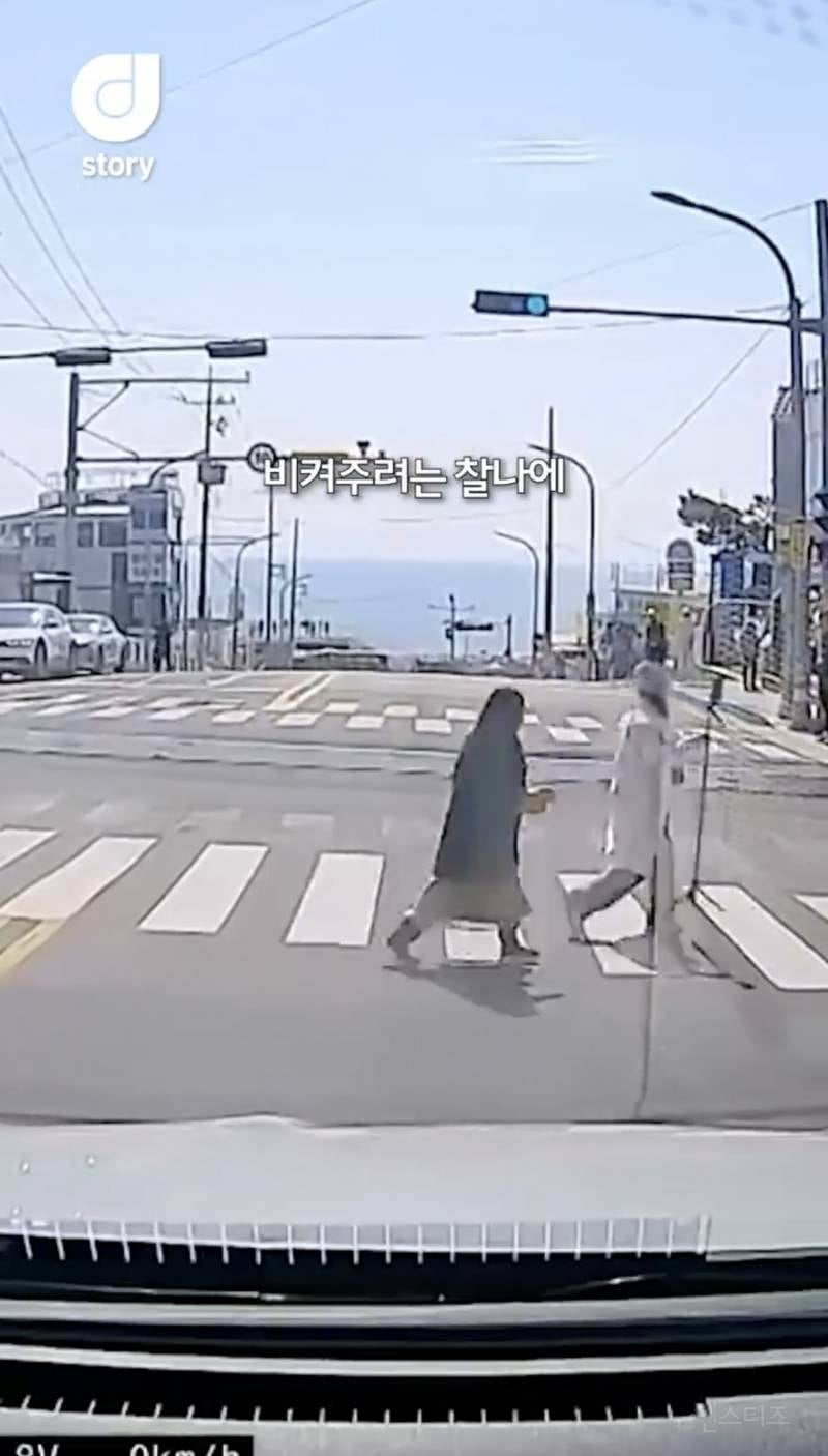 현재 논란중인 차량신호 무시하고 사진찍는 커플 ㄷㄷㄷㄷ | 인스티즈