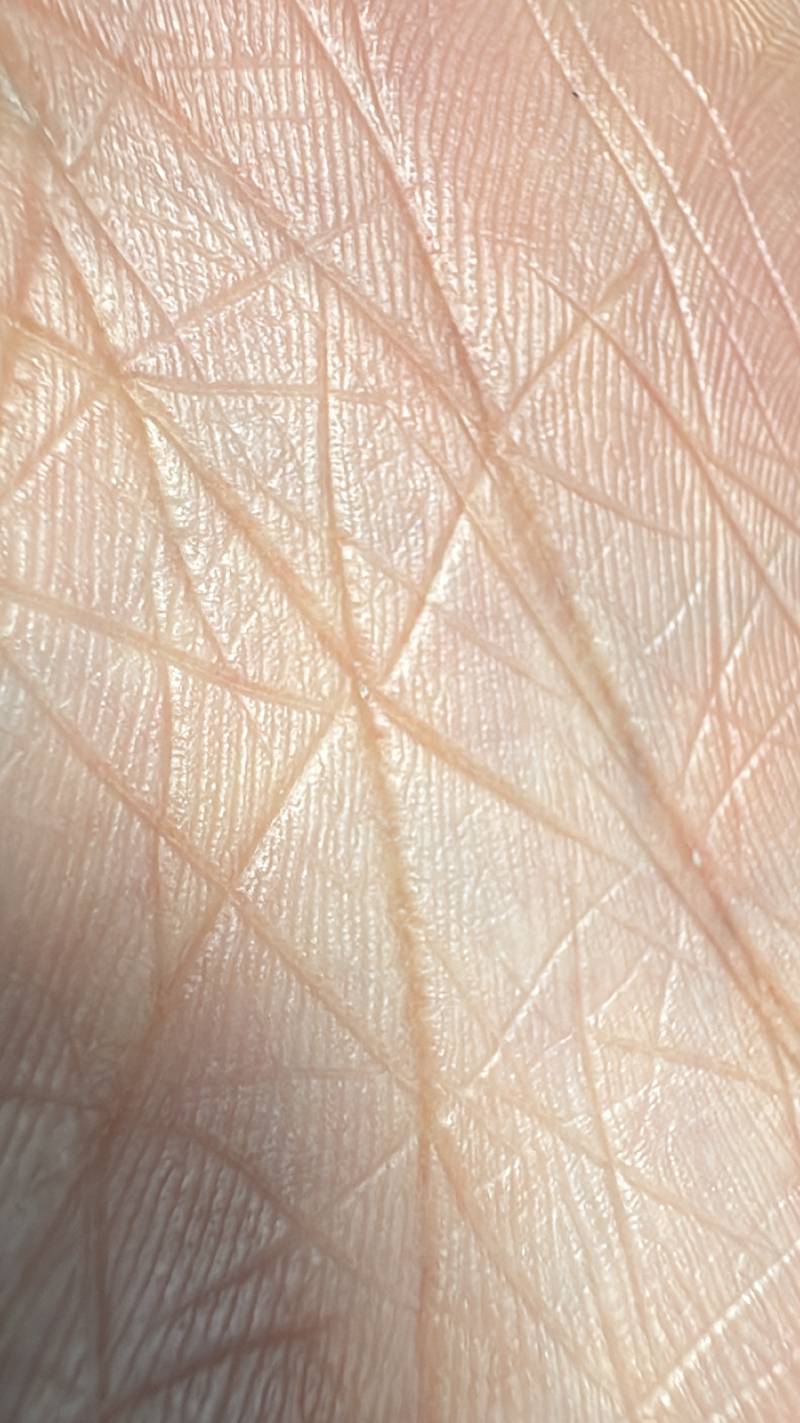 [잡담] 😱인간은 가까이서 보면 굉장히 징그럽구나... | 인스티즈
