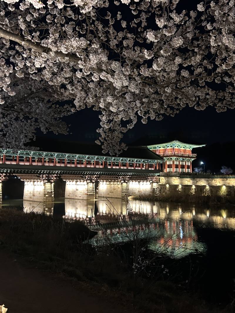 [잡담] 경주여행 알찾다 | 인스티즈