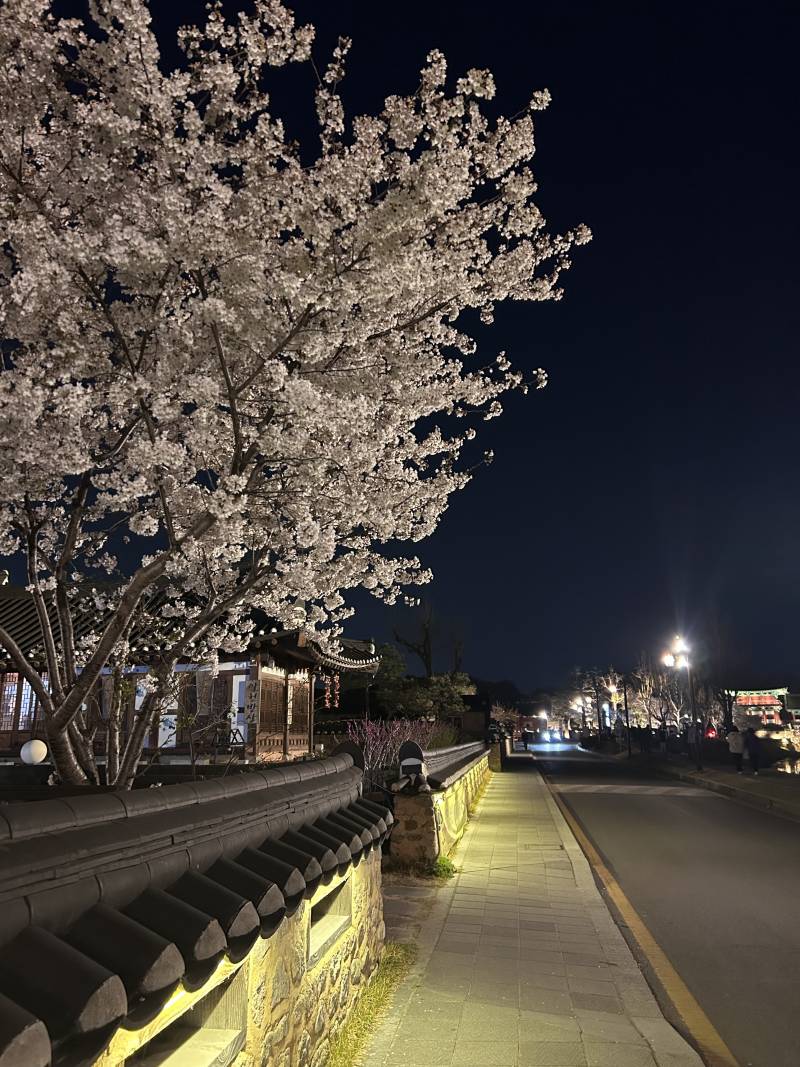 [잡담] 경주여행 알찾다 | 인스티즈