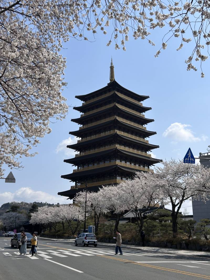 [잡담] 경주여행 알찾다 | 인스티즈