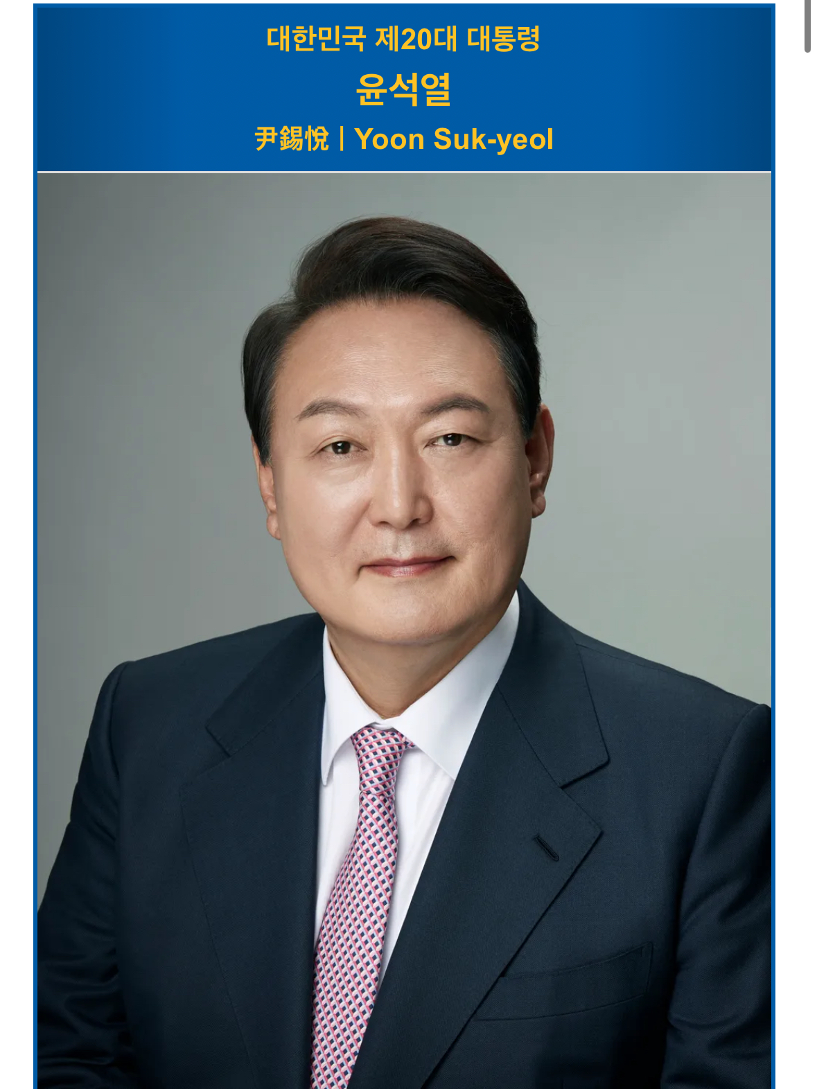 [정리글] 더불어민주당 국민의 힘 역대 대통령 라인업 | 인스티즈
