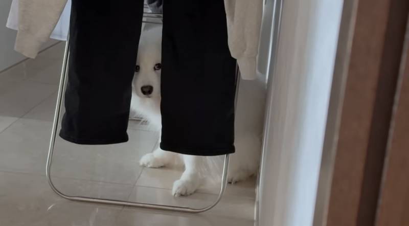 [잡담] 왜 혼날거 알면서 물어뜯지??? | 인스티즈