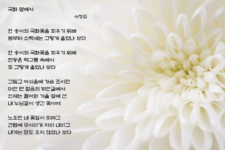 [잡담] 이런 시를 쓴 사람이 친일파에 전두환 찬양시를 썼다니 | 인스티즈
