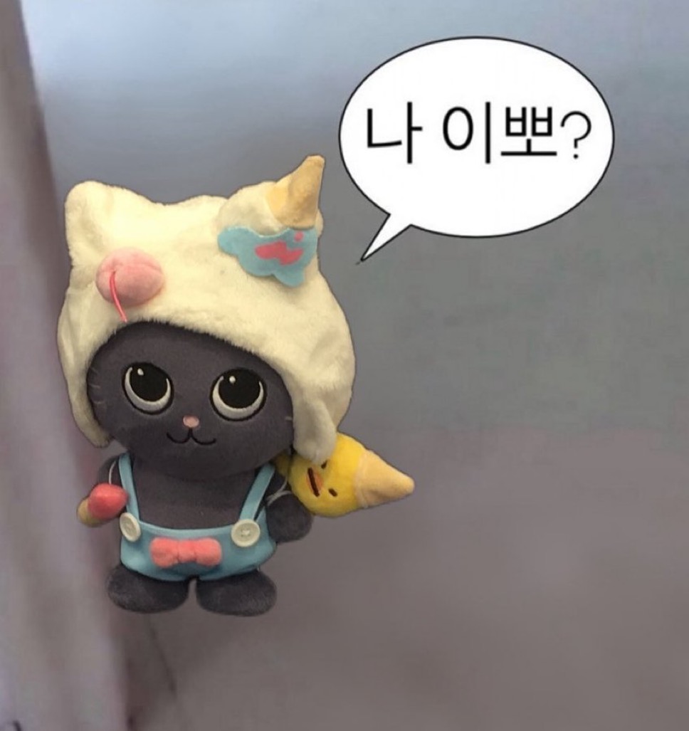 [잡담] 원빈 인형 옷이 너무 고능하다 | 인스티즈