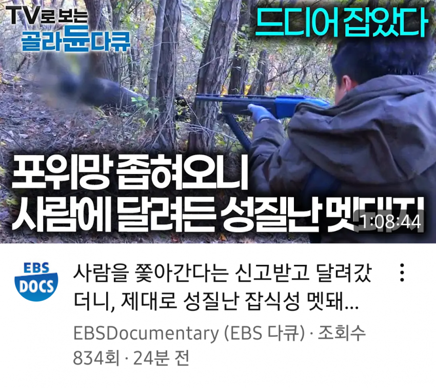 [잡담] 다큐 타이밍 때문에 논란중인 ebs | 인스티즈