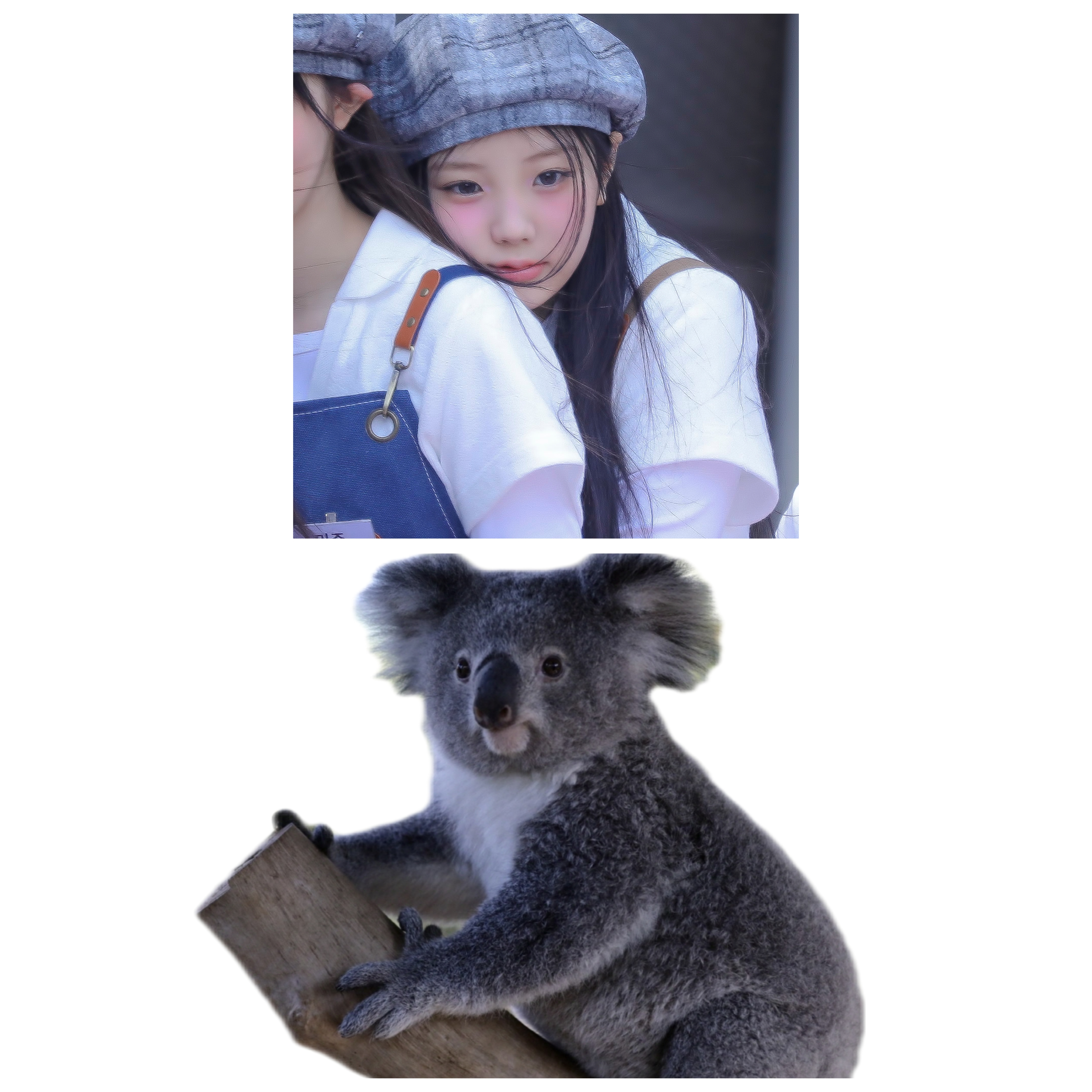 [잡담] 원희 이 사진 | 인스티즈